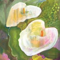 Making Room for the Light mp3 Album by Mae Powell