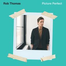 Picture Perfect mp3 Single by Rob Thomas