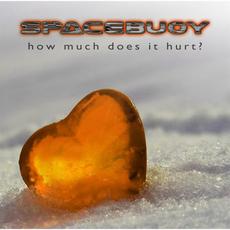 How Much Does It Hurt? mp3 Single by Spacebuoy