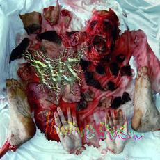 Hunting Season mp3 Album by Pus