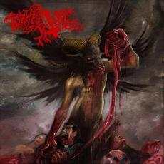 Torment Ritual mp3 Album by Torment Ritual