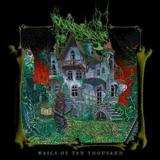 Wails of Ten Thousand mp3 Album by Old Skin