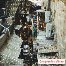 Congestion Alley mp3 Album by Eginhard Zellner