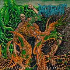 For Those In Shallow Graves mp3 Album by Decedent