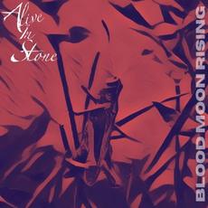Alive In Stone mp3 Album by Alive In Stone