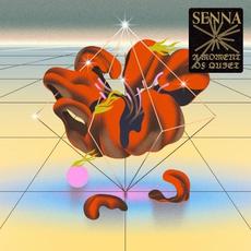 A Moment of Quiet mp3 Album by SENNA