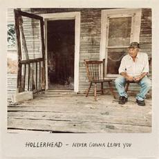 Never Gonna Leave You mp3 Album by Hollerhead