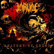 Anatomy of Chaos mp3 Album by Larvae