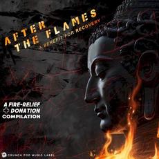 After the Flames: A Benefit for Recovery - A Donation Compilation mp3 Compilation by Various Artists