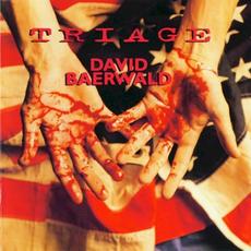 Triage mp3 Album by David Baerwald