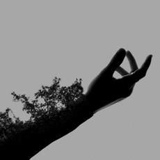 Fragility mp3 Album by bulletsbetweentongues