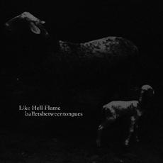 Like Hell Flame mp3 Single by bulletsbetweentongues