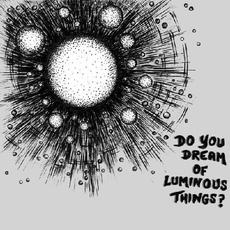 Do You Dream Of Luminous Things? mp3 Album by Jamie Parker