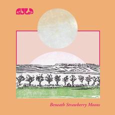 Beneath Strawberry Moons mp3 Album by Gulp