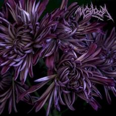 In Gloom mp3 Album by In Gloom