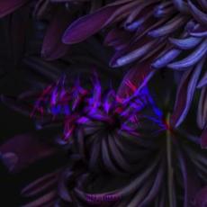 In Gloom (Remastered) mp3 Album by In Gloom