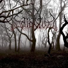 I mp3 Album by Sarastus