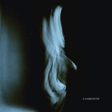 A Wonderful Life mp3 Album by Tom Odell