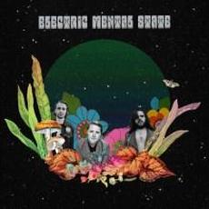 Electric Mental State mp3 Album by The Ragged Jubilee