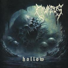 Hollow mp3 Album by Crungus