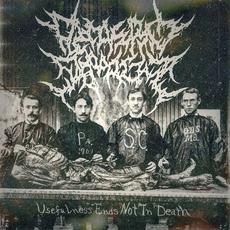 Usefulness Ends Not In Death mp3 Album by Decrepit Depravity