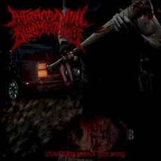When Finding Yourself Goes Wrong mp3 Album by Intracranial Bludgeoning