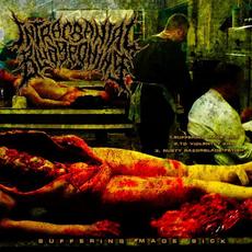 Suffering Made Sick mp3 Single by Intracranial Bludgeoning
