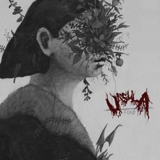 Fickle mp3 Album by Ursula (2)