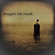 Magam Elé Nézek mp3 Single by Post Analog Disorder