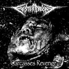 Carcasses Revenge mp3 Album by FesterDecay