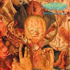 Reality Rotten to the Core mp3 Album by FesterDecay