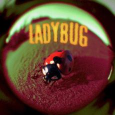 Ladybug mp3 Album by Jutes