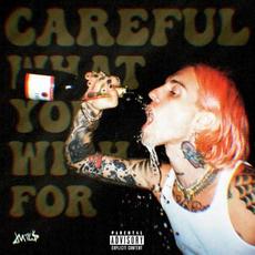 Careful What You Wish For mp3 Album by Jutes