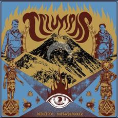 Beekeeper/Bastardknocker mp3 Album by Triumphs