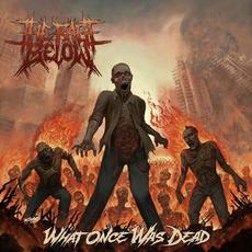 What Once Was Dead mp3 Album by The Rage Below