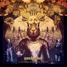 IV: The Stream of Forgotten Thoughts mp3 Album by Weedpecker