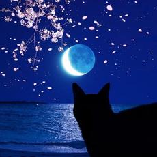 眩しくて 視えない / フリーダム フリーダム パラダイスロスト mp3 Single by BUCK-TICK