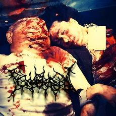 Mutilated Authority mp3 Album by Faunx