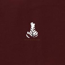 Who You Are Is Not Enough mp3 Album by Athletics