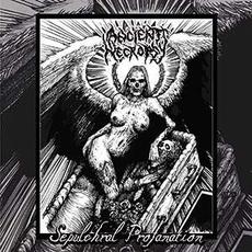 Sepulchral Profanation mp3 Album by Ancient Necropsy