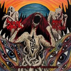 Catharsis Of Silent Despondency mp3 Album by Prophecy Of Suffering