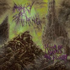 Hymns Of Hatred And Disgust mp3 Album by Prophecy Of Suffering