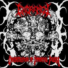 Obsecration of Immortal Flesh mp3 Album by Exorency