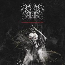 Collapse of Pattern, Reverence of Dust mp3 Album by Cult Burial