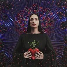 Eternal Lover mp3 Album by Silly Boy Blue