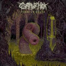 Vermian Death mp3 Album by Grave Hex