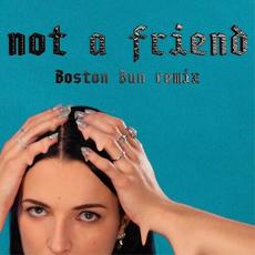 Not A Friend (Boston Bun Remix) mp3 Single by Silly Boy Blue