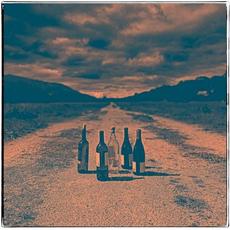 Bottles of Lightning mp3 Album by Revis