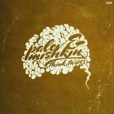 Think Twice mp3 Album by Palov & Mishkin