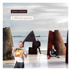 A Different Picture mp3 Album by Peter Wilson